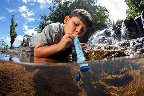 LifeStraw Personal Water Filter